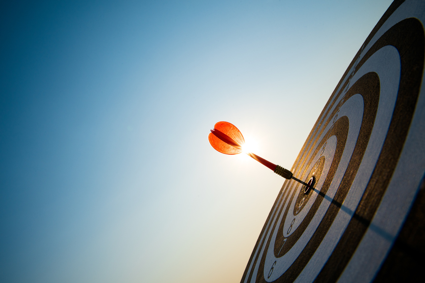 Why Custom Solutions Can Boost Your Business Success